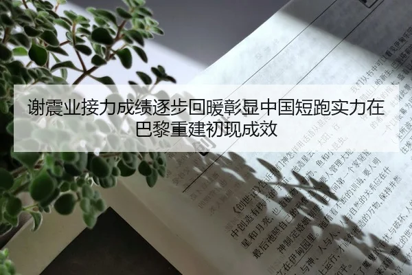 谢震业接力成绩逐步回暖彰显中国短跑实力在巴黎重建初现成效