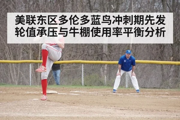 baseball bullpen relief pitcher