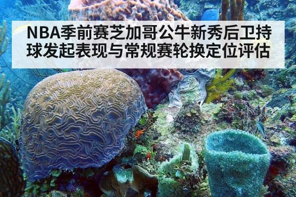 NBA季前赛芝加哥公牛新秀后卫持球发起表现与常规赛轮换定位评估