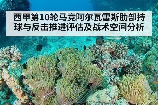 西甲第10轮马竞阿尔瓦雷斯肋部持球与反击推进评估及战术空间分析